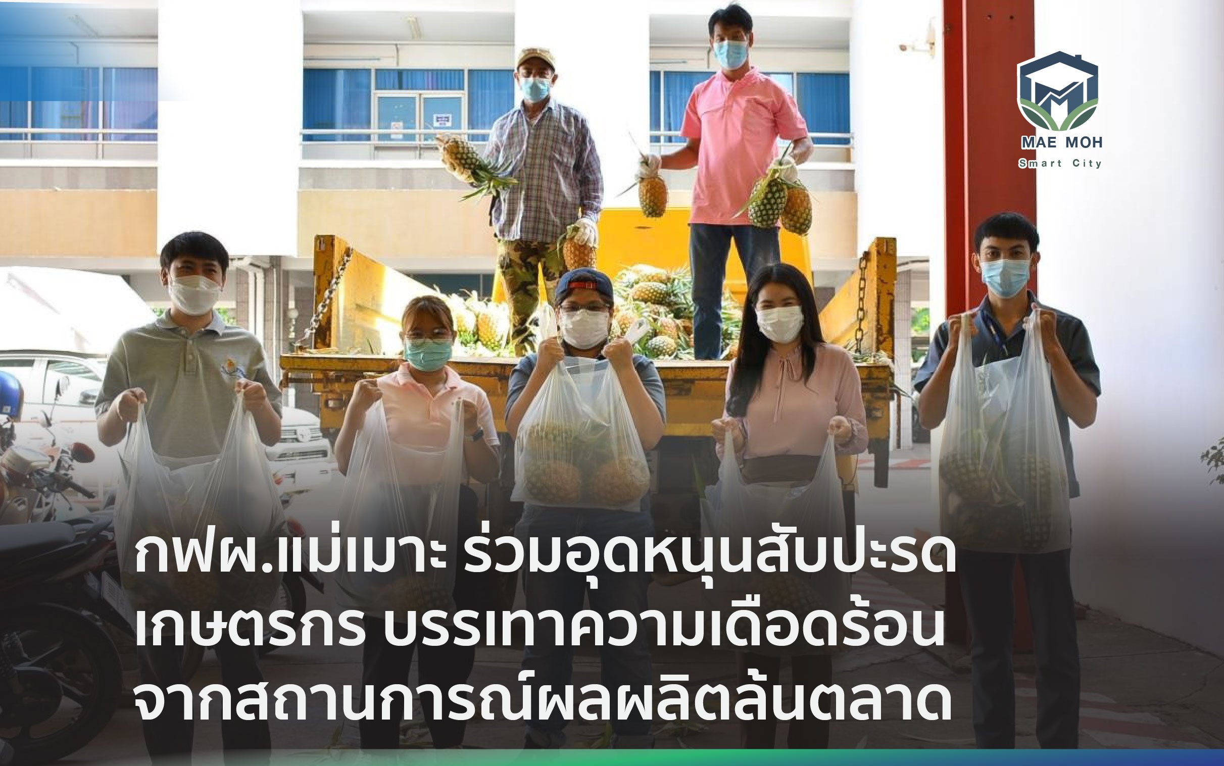 กฟผ.แม่เมาะ ร่วมอุดหนุนสับปะรดเกษตรกรบ้านเสด็จและบ้านดง บรรเทาความเดือดร้อนจากสถานการณ์ผลผลิตล้นตลาด