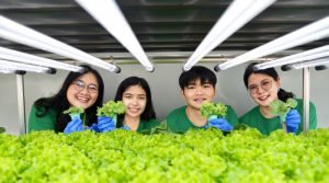 แม่เมาะเมืองน่าอยู่ ดันเด็กรุ่นใหม่แม่เมาะ สู่กลุ่มวิสาหกิจบริหารจัดการเกษตรกรรมแนวตั้ง นำร่องพื้นที่อพยพบ้านดง