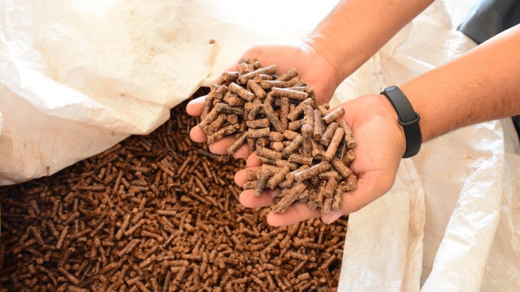 โครงการ Biomass Co-firing