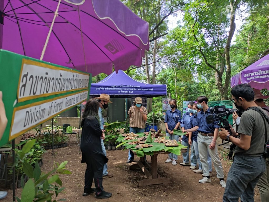 โครงการเห็ดป่าคืนถิ่น เสริมป่าชุมชน สร้างรายได้ สลายฝุ่นควัน